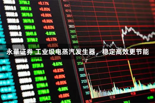 永華证券 工业级电蒸汽发生器，稳定高效更节能