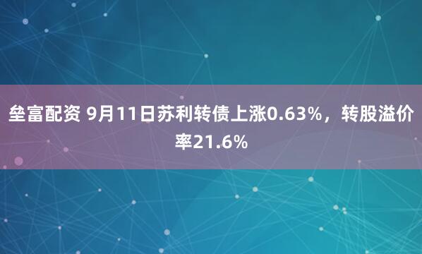 垒富配资 9月11日苏利转债上涨0.63%，转股溢价率21.6%