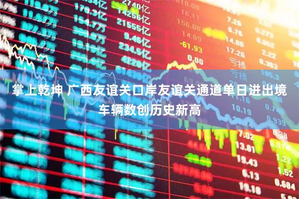 掌上乾坤 广西友谊关口岸友谊关通道单日进出境车辆数创历史新高
