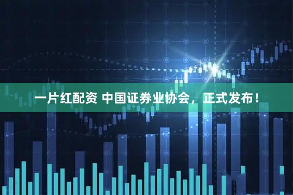 一片红配资 中国证券业协会，正式发布！