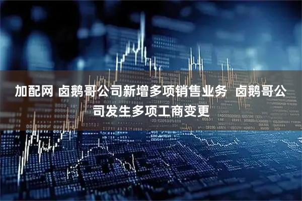 加配网 卤鹅哥公司新增多项销售业务  卤鹅哥公司发生多项工商变更