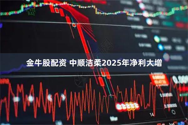 金牛股配资 中顺洁柔2025年净利大增