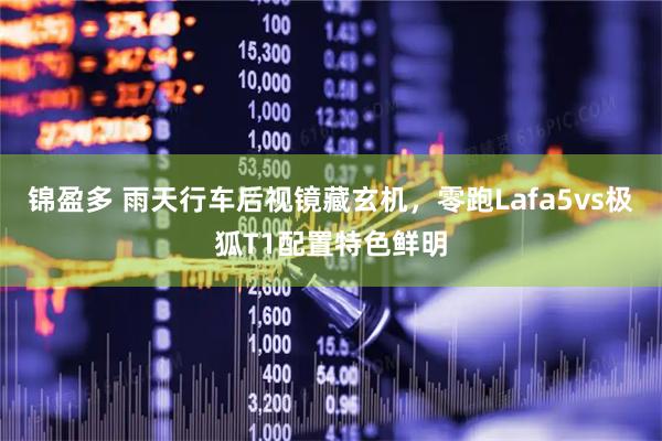 锦盈多 雨天行车后视镜藏玄机，零跑Lafa5vs极狐T1配置特色鲜明
