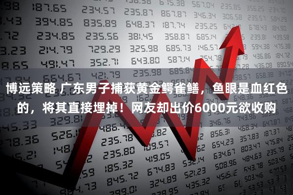 博远策略 广东男子捕获黄金鳄雀鳝，鱼眼是血红色的，将其直接埋掉！网友却出价6000元欲收购