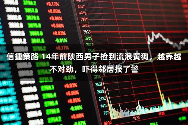 信捷策路 14年前陕西男子捡到流浪黄狗，越养越不对劲，吓得邻居报了警