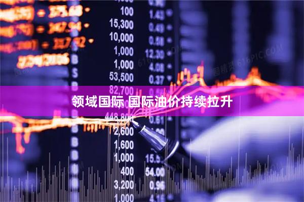 领域国际 国际油价持续拉升