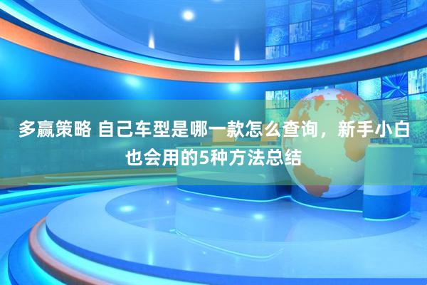 多赢策略 自己车型是哪一款怎么查询，新手小白也会用的5种方法总结