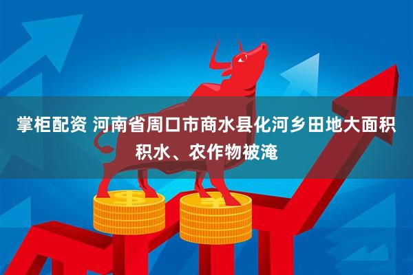 掌柜配资 河南省周口市商水县化河乡田地大面积积水、农作物被淹